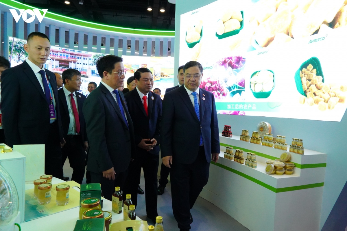 caexpo 2026 an giang cung cac thanh pho quyen ru quang ba ban sac va tiem nang hinh anh 2