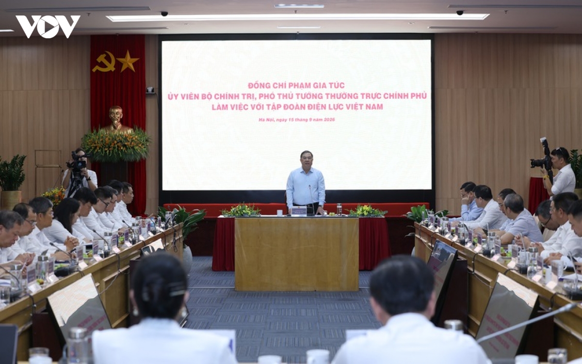 pho thu tuong thuong truc evn giu vai tro nong cot bao dam an ninh nang luong hinh anh 2