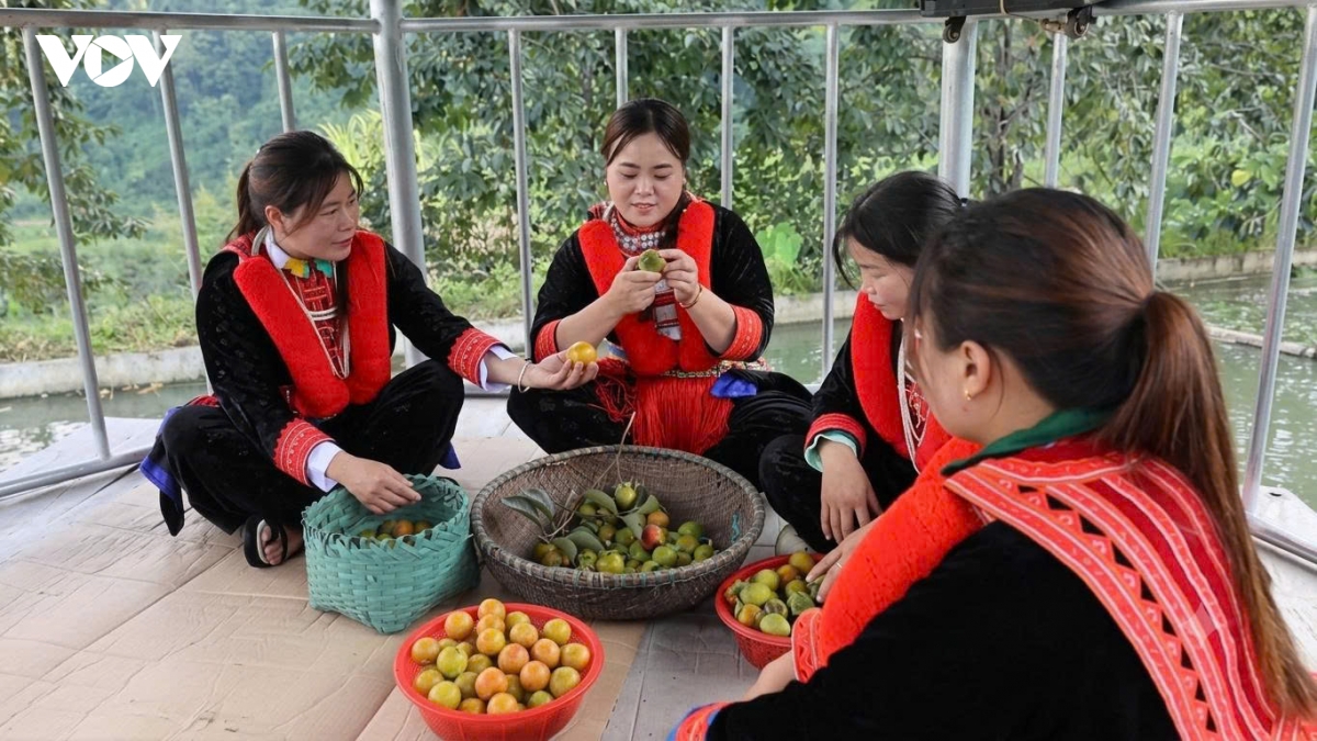 mua hong khong hat o vung cao thai nguyen hinh anh 2