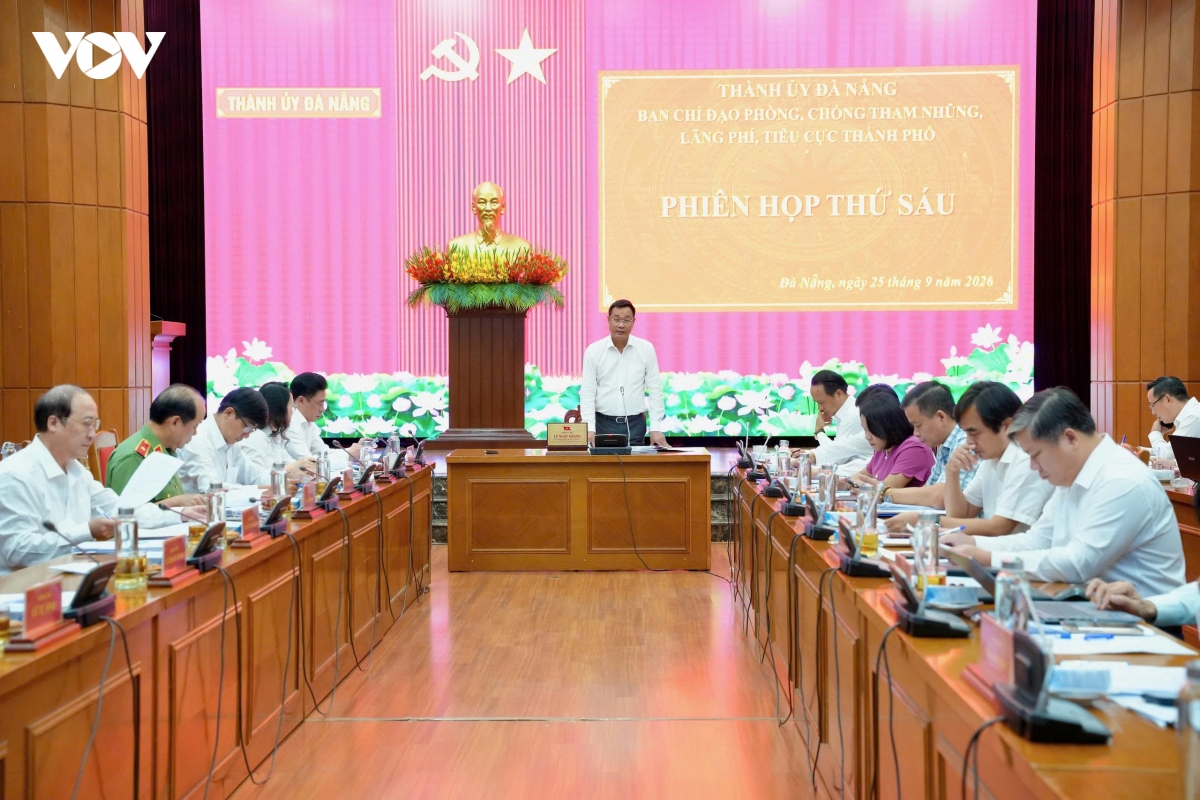 bi thu Da nang kiem tra phai chu dong, kiem soat quyen luc phai thuc chat hinh anh 1