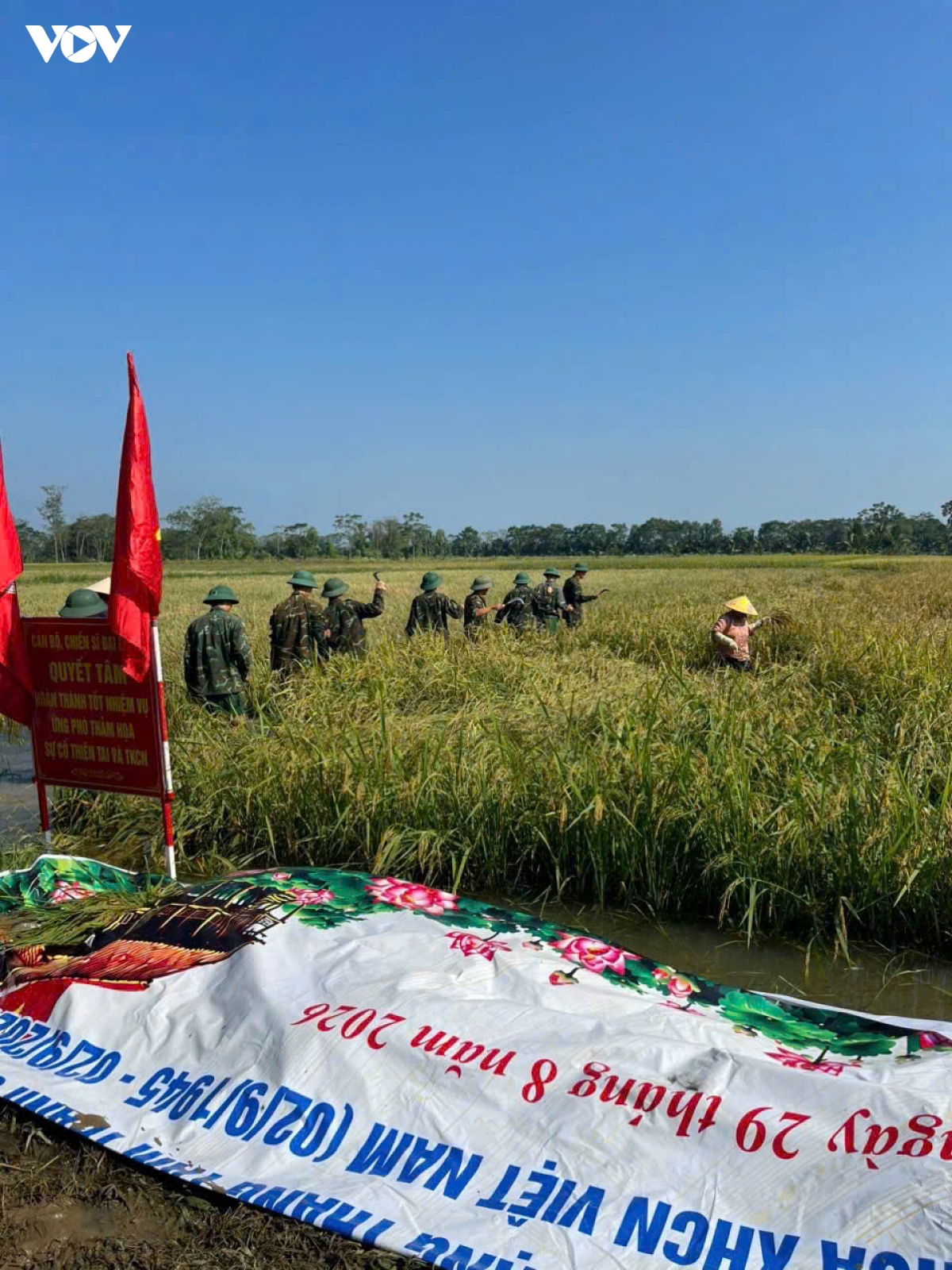 khan truong khac phuc hau qua vung ron lu kim tan thanh hoa hinh anh 2