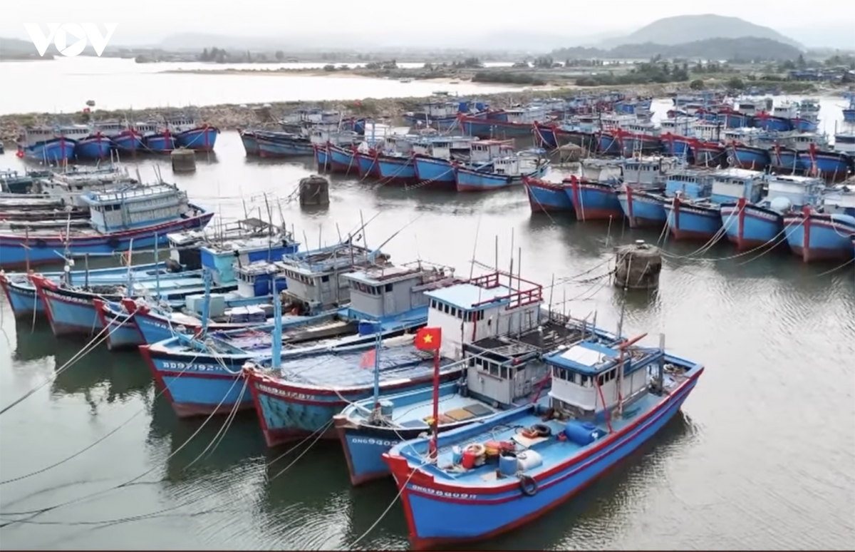 Quảng Ngãi không để tàu cá không đủ điều kiện ra khơi