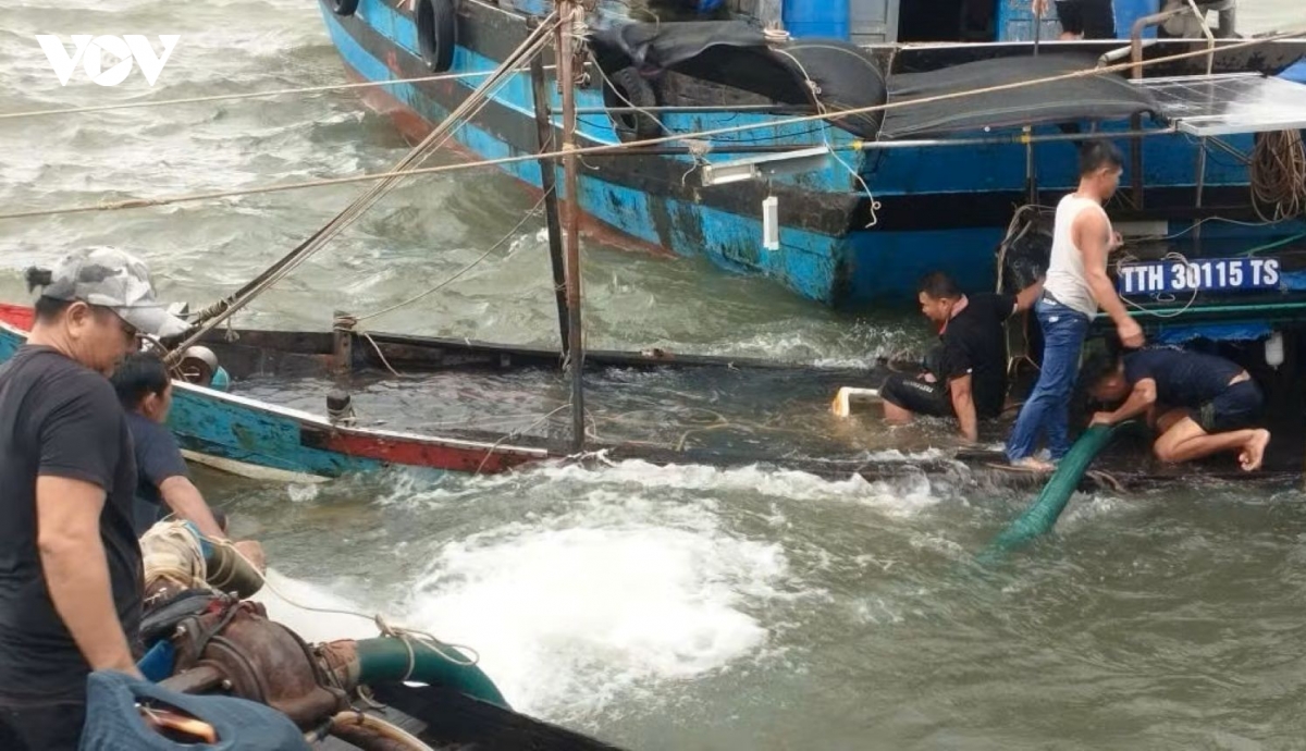 song lon danh chim tau ca tai cang thuan an, hue hinh anh 1