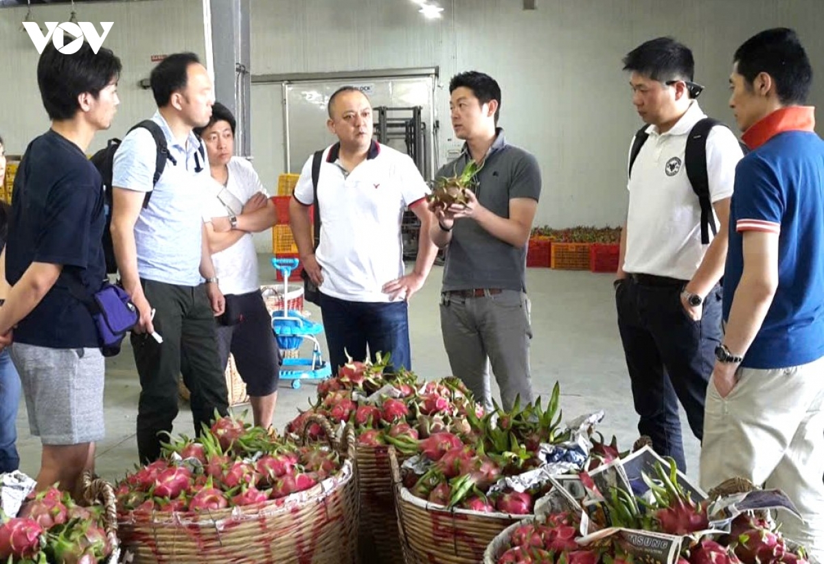 bien rao can ky thuat thanh dong luc tai co cau thi truong xuat khau hinh anh 4