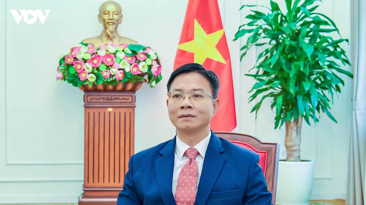 dau an viet nam trong thap ky quoc te ve van hoa vi phat trien ben vung hinh anh 1