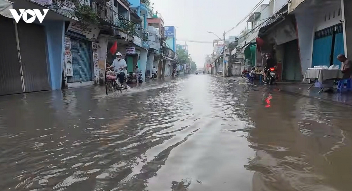 trieu cuong xuong cham, vinh long thong ke thiet hai hinh anh 1