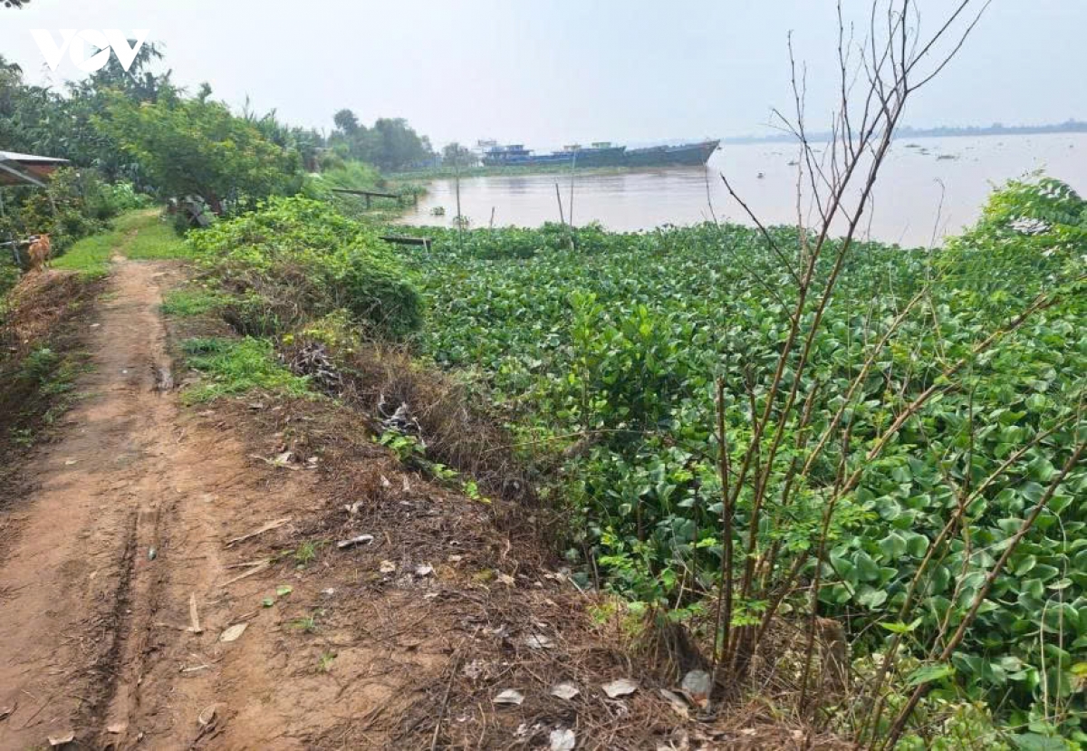 mot xa o vinh long xuat hien 3 diem sat lo do trieu cuong dang cao hinh anh 1