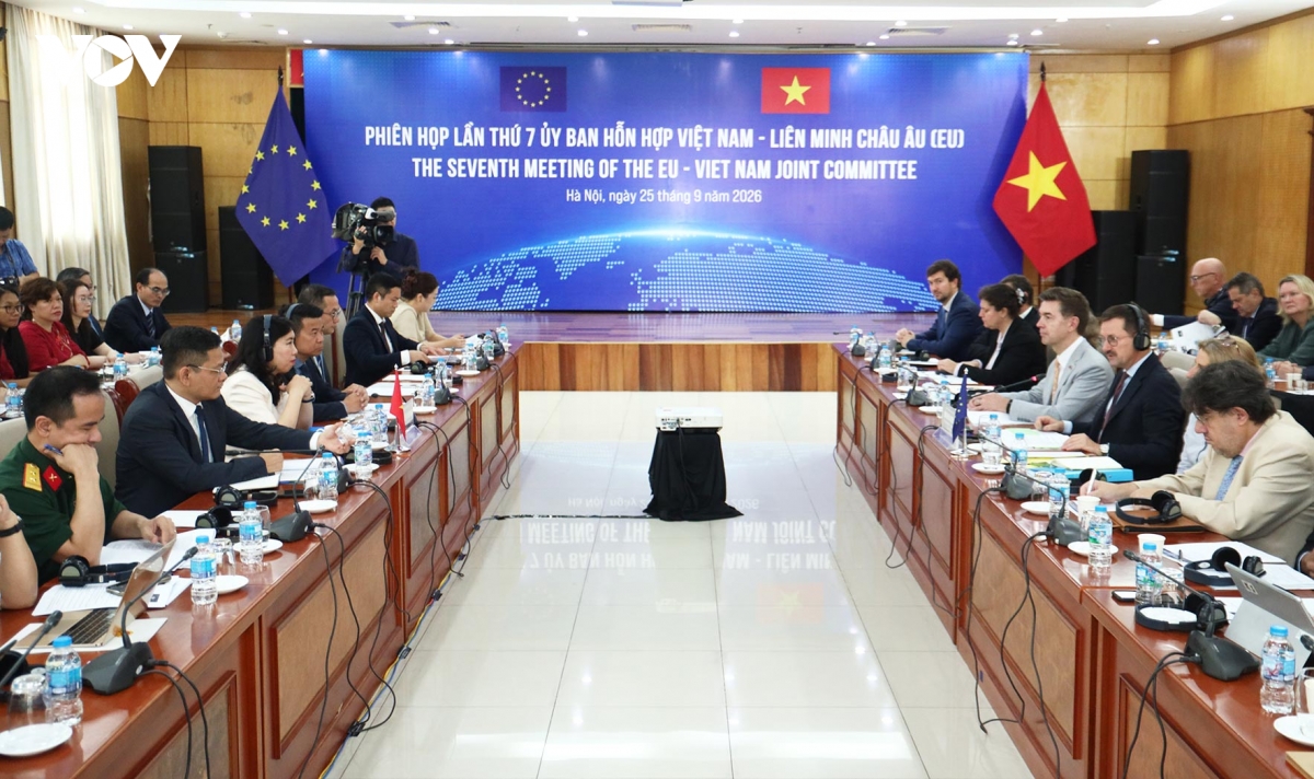 viet nam - eu to chuc phien hop Uy ban hon hop lan thu 7 hinh anh 2
