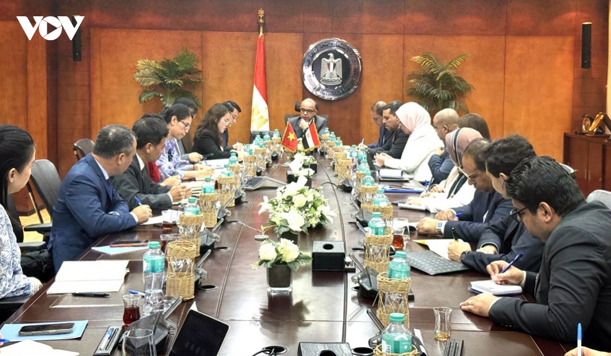 vietnam and egypt step up fta efforts, target us 1bln in trade picture 1