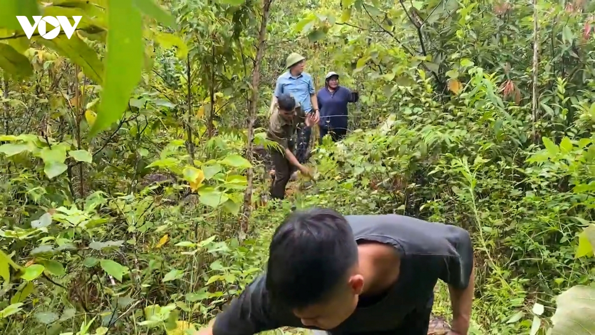 mo duong tam hon 1km tiep can hon 300 ho dan bi sat lo co lap o nghe an hinh anh 1