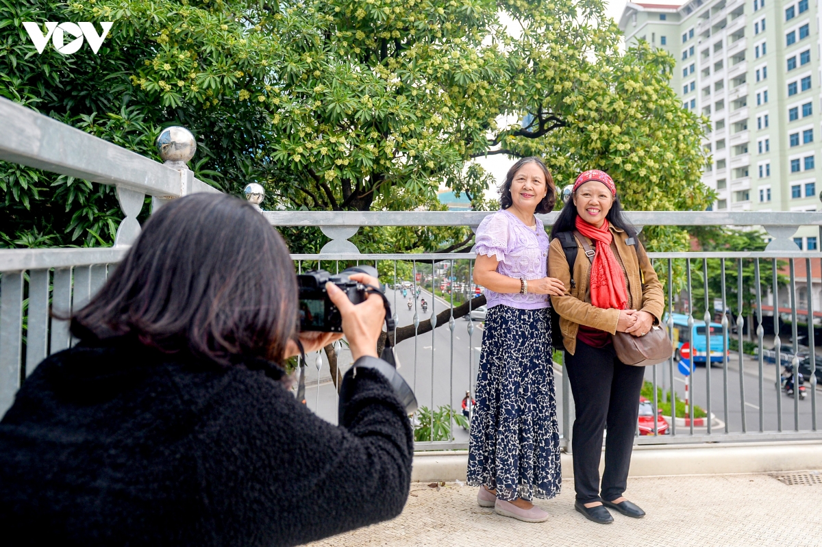 nguoi dan keu kho vi hoa sua, ha noi tinh phuong an thay the hinh anh 5