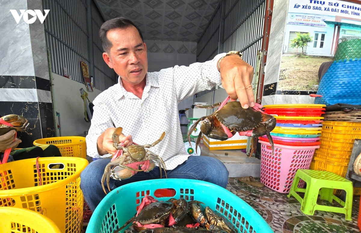 Ung dung cong nghe dua thit cua ca mau vuon xa hinh anh 1