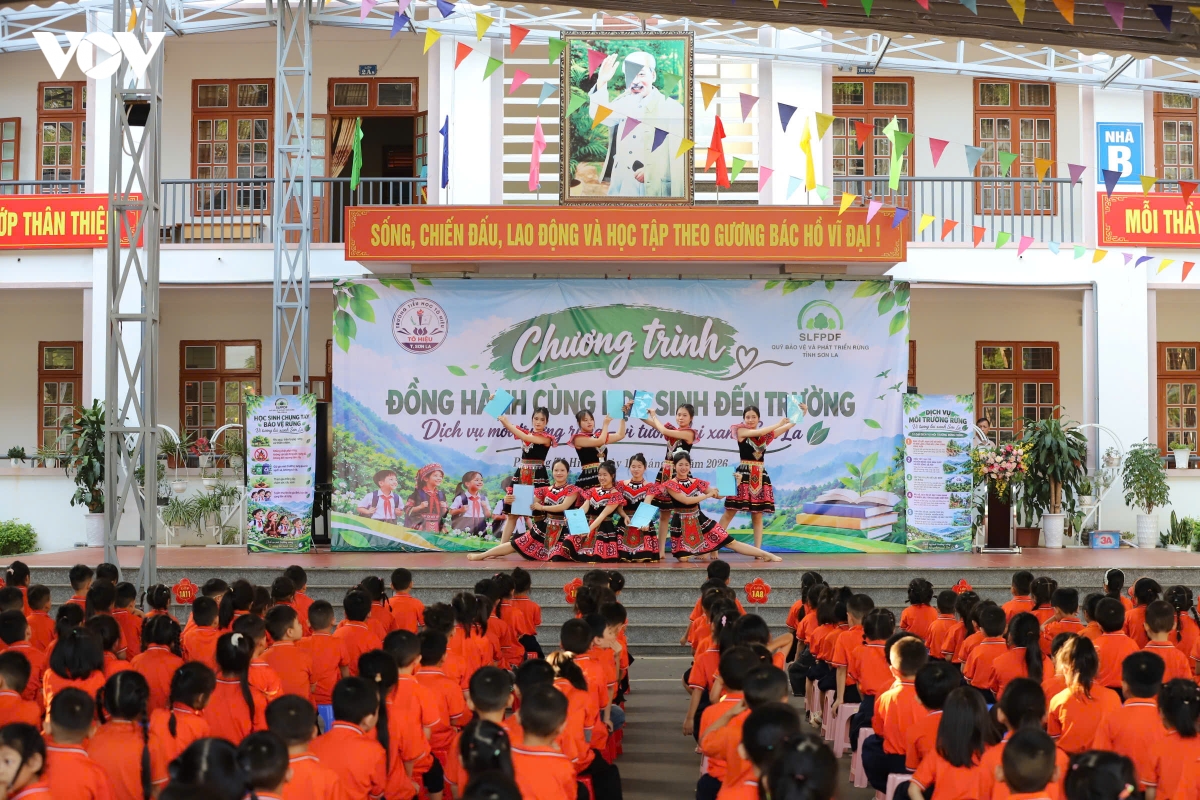 gieo y thuc bao ve rung tu mai truong hinh anh 1