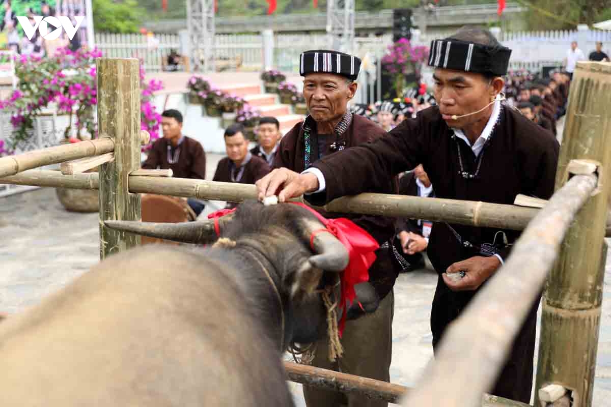 su khon khoai gin giu hon van hoa nguoi lu hinh anh 10