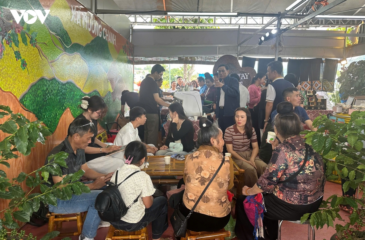 noi tinh hoa ca phe hoi tu hinh anh 8