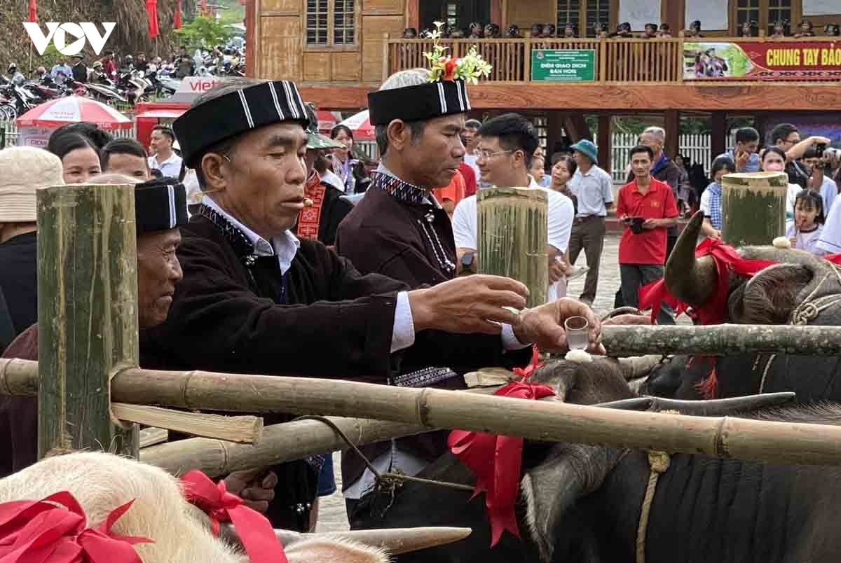 su khon khoai gin giu hon van hoa nguoi lu hinh anh 11