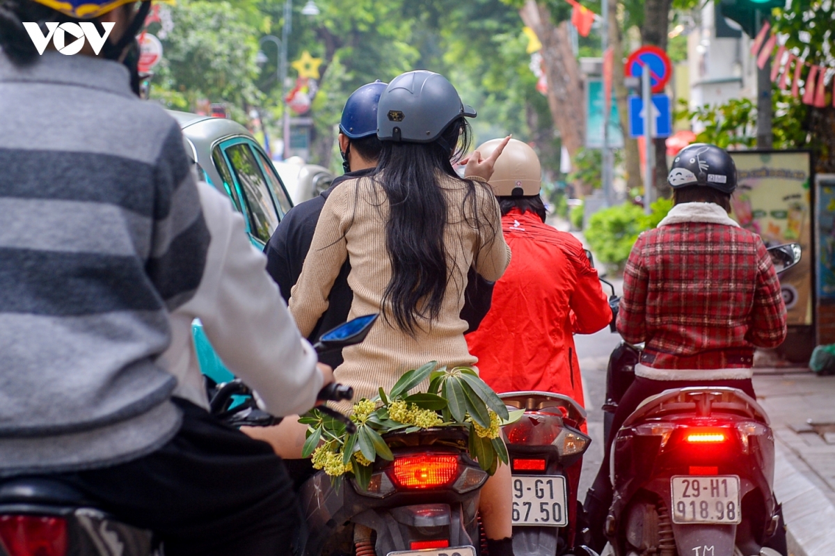 nguoi dan keu kho vi hoa sua, ha noi tinh phuong an thay the hinh anh 15