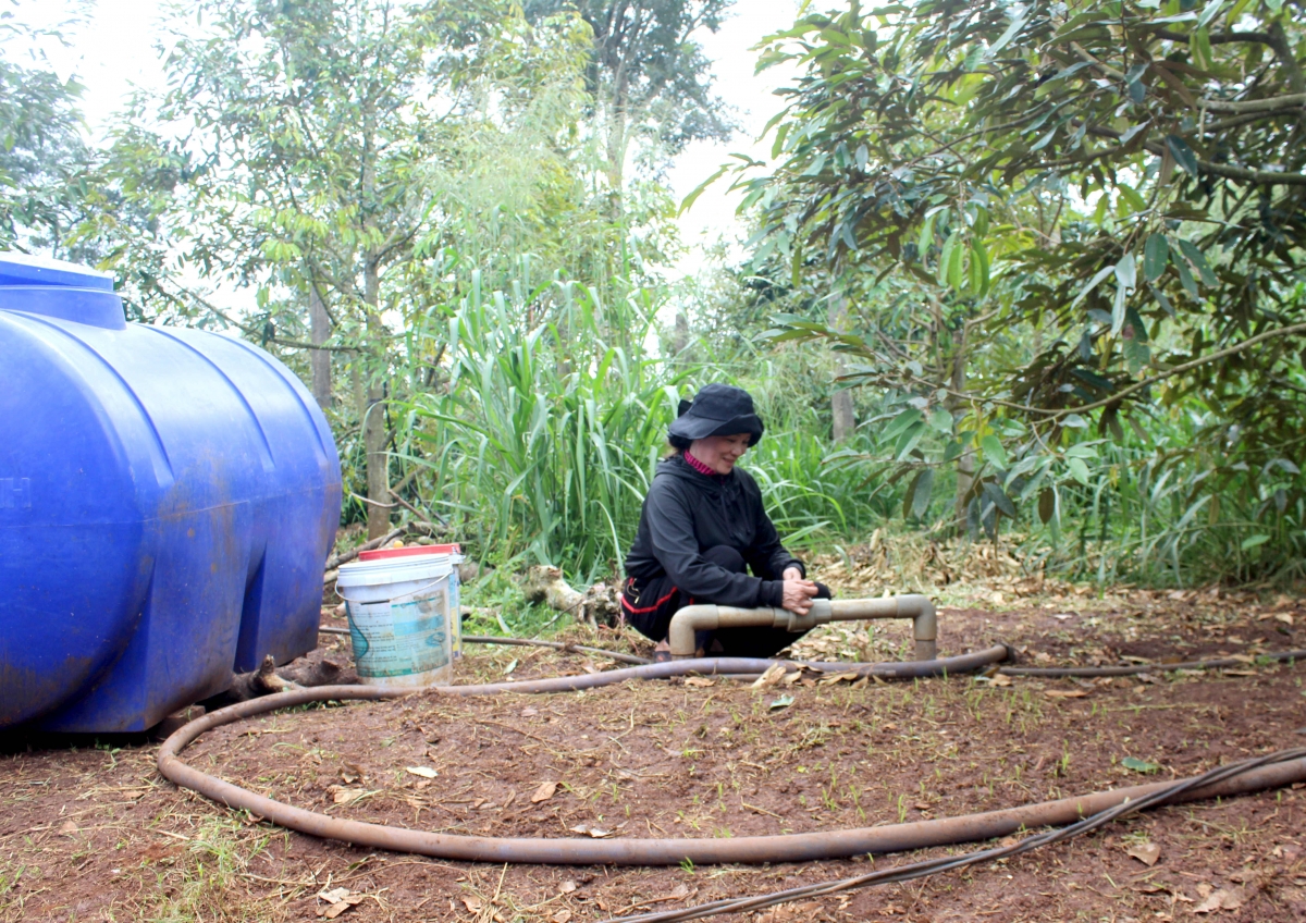 nong dan Dak lak dua cong nghe so vao san xuat, tieu thu nong san hinh anh 3