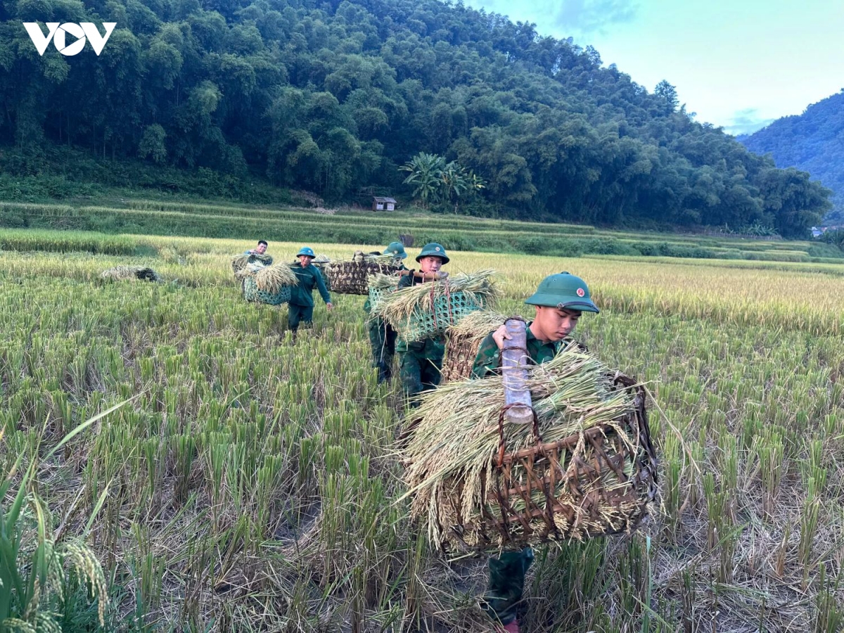 nhung buoc chan nguoi linh bien phong tren dong lua bien cuong hinh anh 9