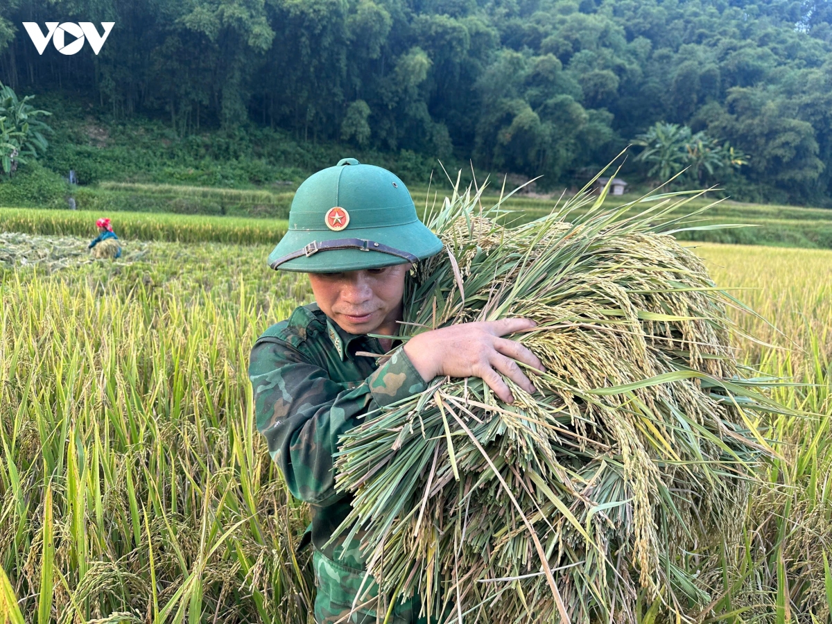 nhung buoc chan nguoi linh bien phong tren dong lua bien cuong hinh anh 6