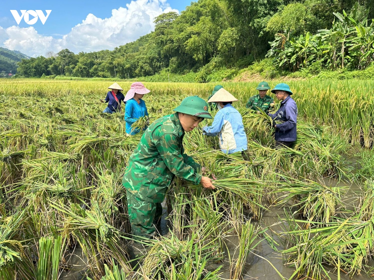 nhung buoc chan nguoi linh bien phong tren dong lua bien cuong hinh anh 5