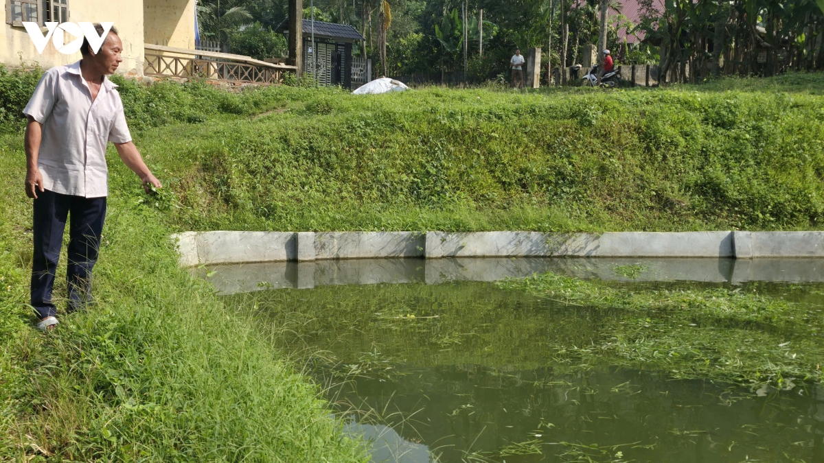 ca doc ban dia mo huong sinh ke moi o vung cao thanh hoa hinh anh 2