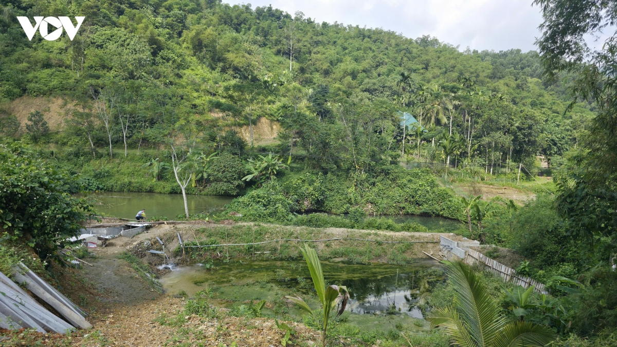 ca doc ban dia mo huong sinh ke moi o vung cao thanh hoa hinh anh 1