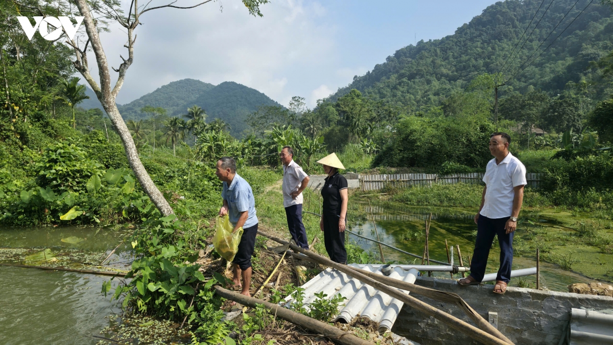 ca doc ban dia mo huong sinh ke moi o vung cao thanh hoa hinh anh 6