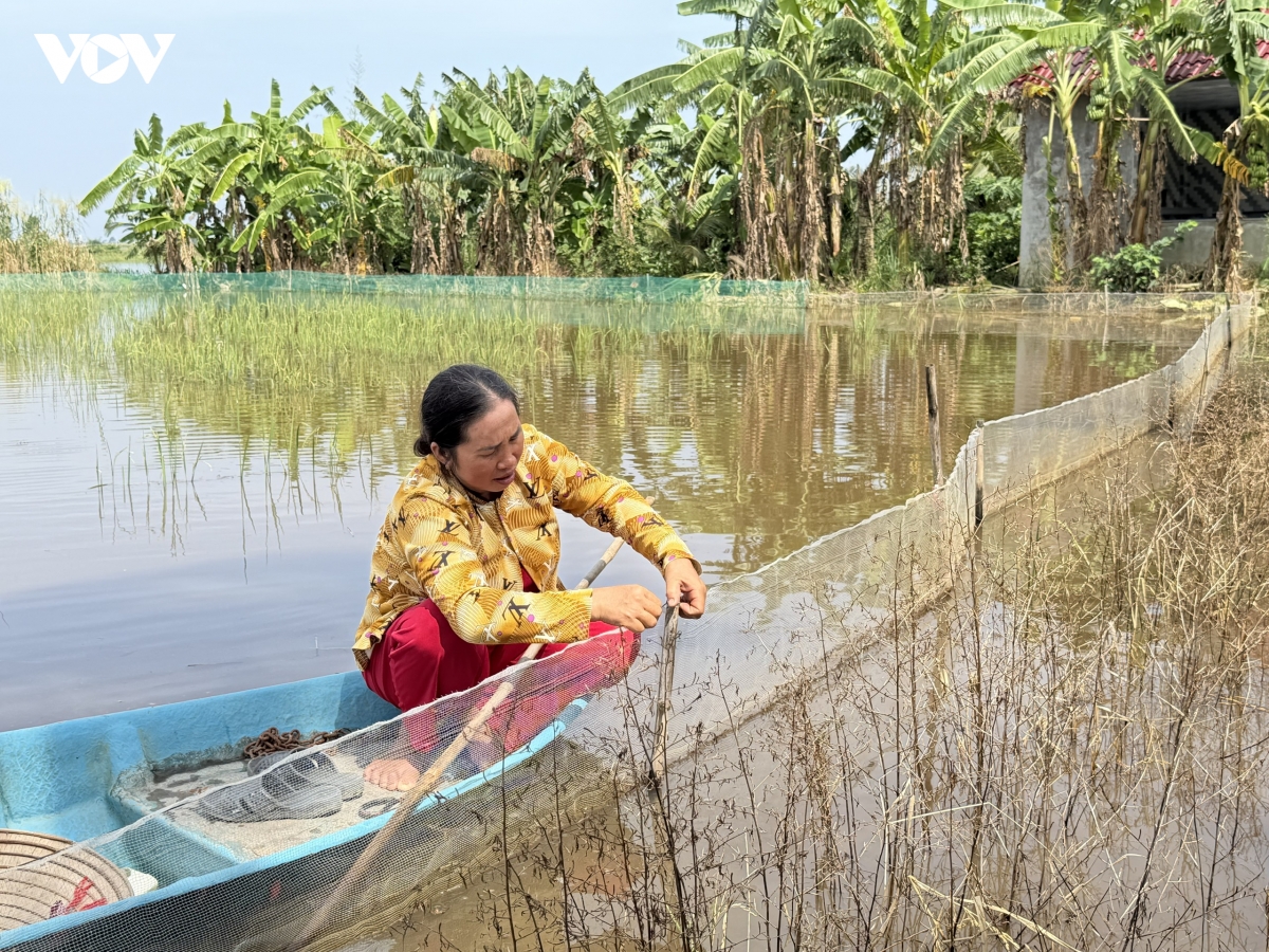 mua nuoc noi- mua nuoi ca khong moi hinh anh 1