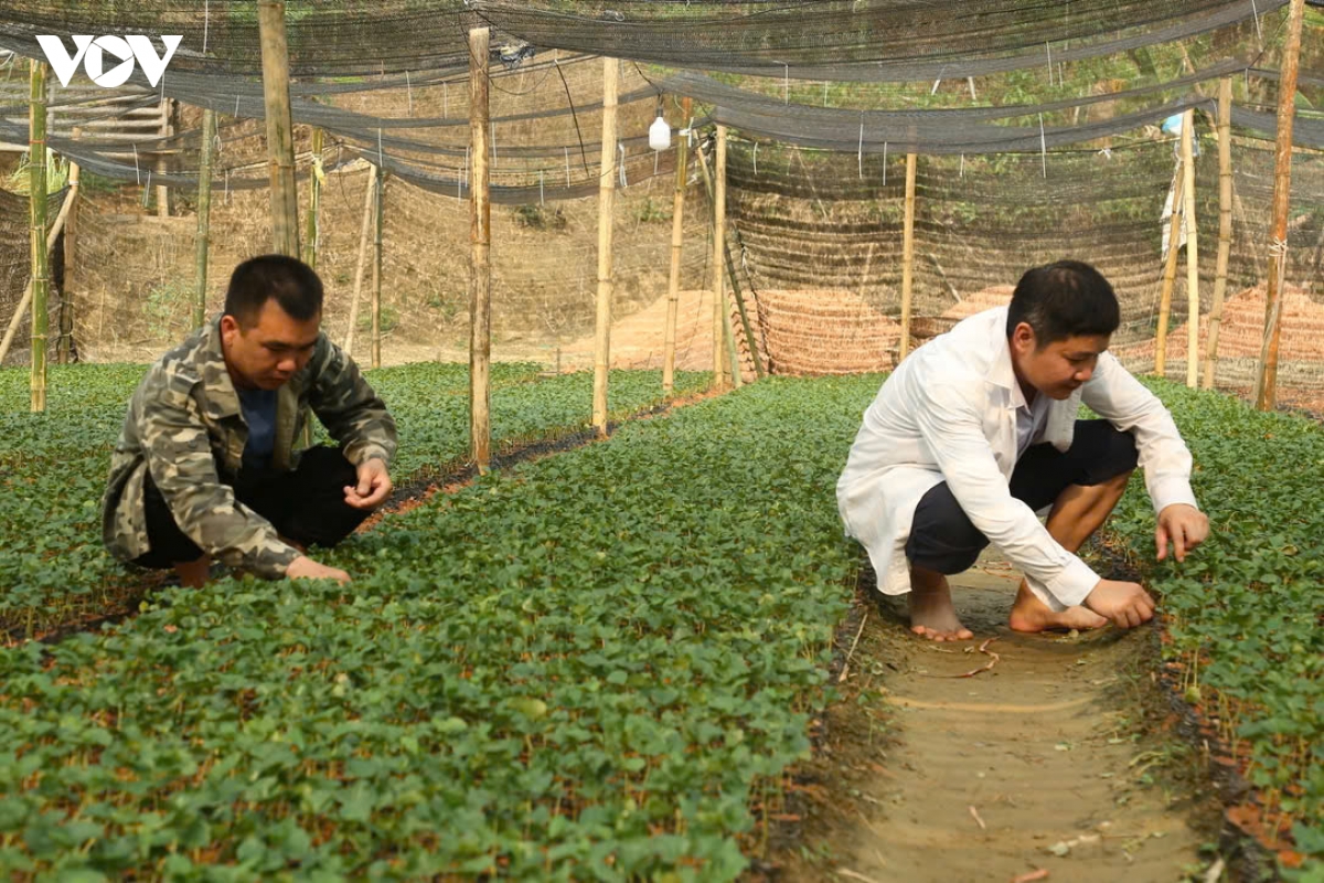 thien phu gieo sinh ke, dung nen giam ngheo ben vung hinh anh 8