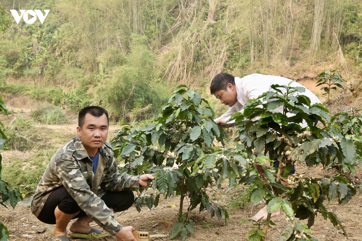 thien phu gieo sinh ke, dung nen giam ngheo ben vung hinh anh 9
