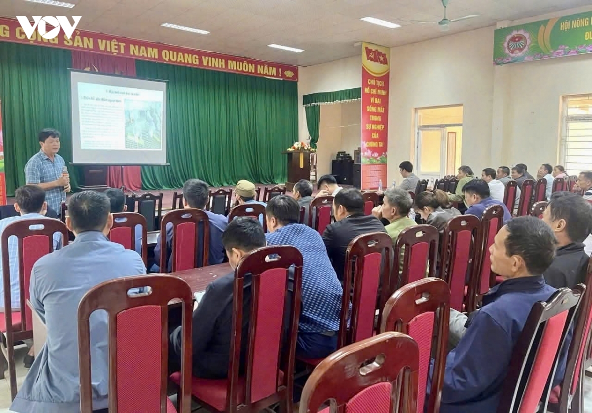 thien phu gieo sinh ke, dung nen giam ngheo ben vung hinh anh 4