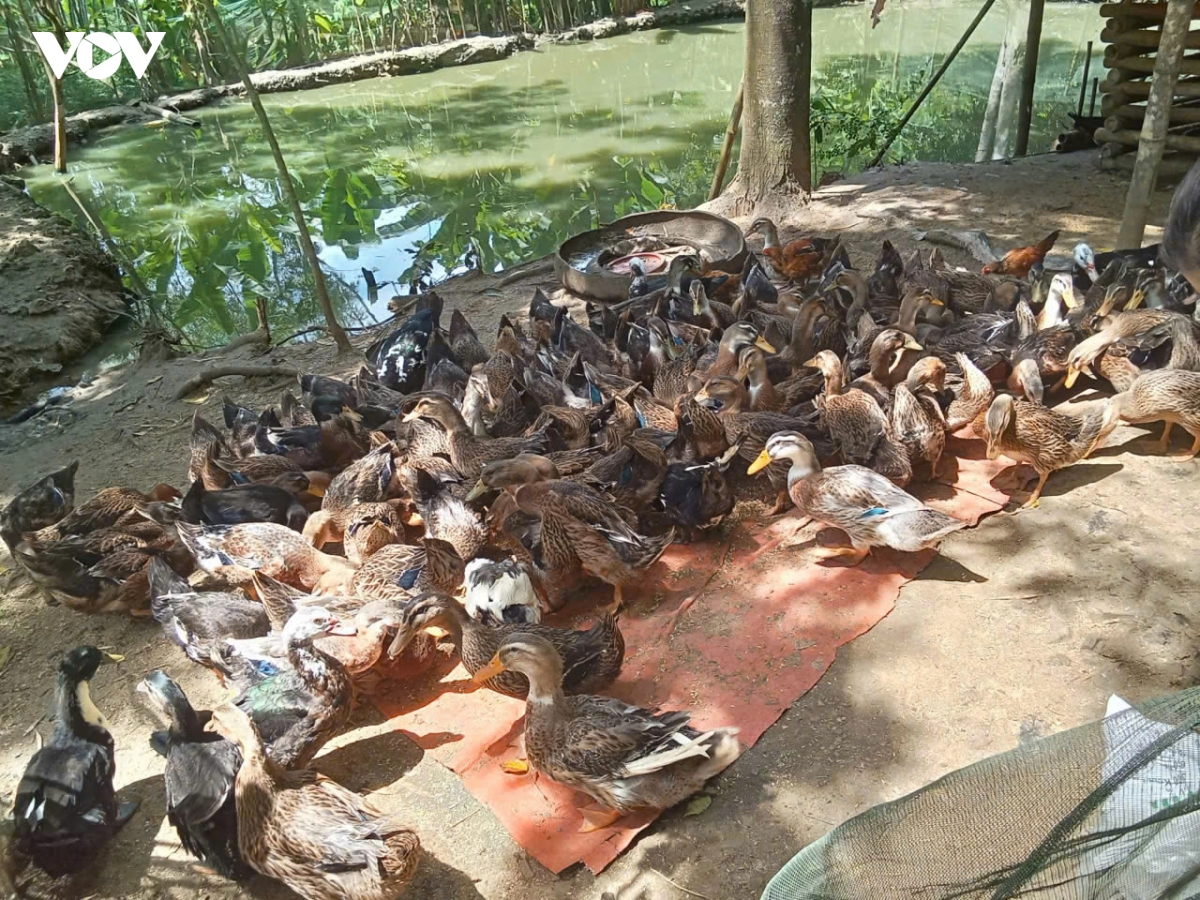 thien phu gieo sinh ke, dung nen giam ngheo ben vung hinh anh 3