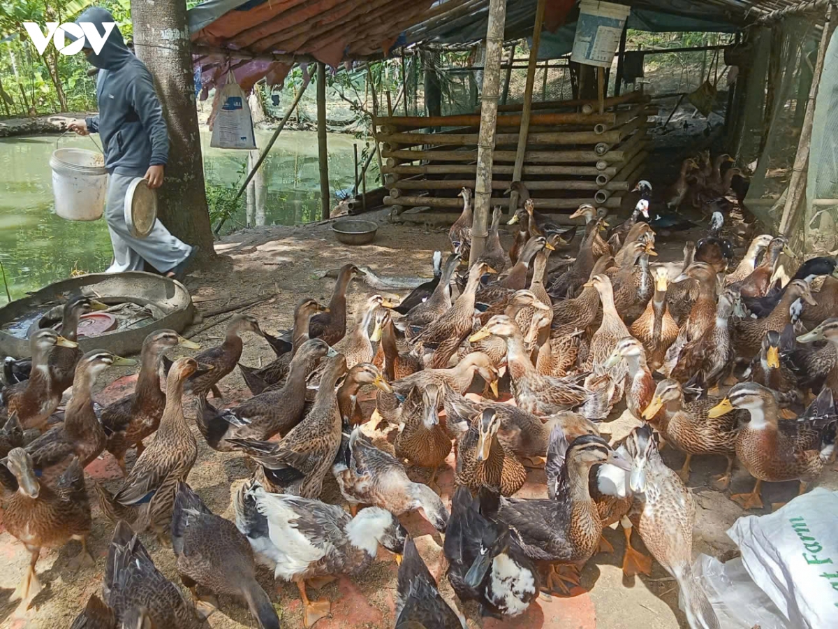 thien phu gieo sinh ke, dung nen giam ngheo ben vung hinh anh 2