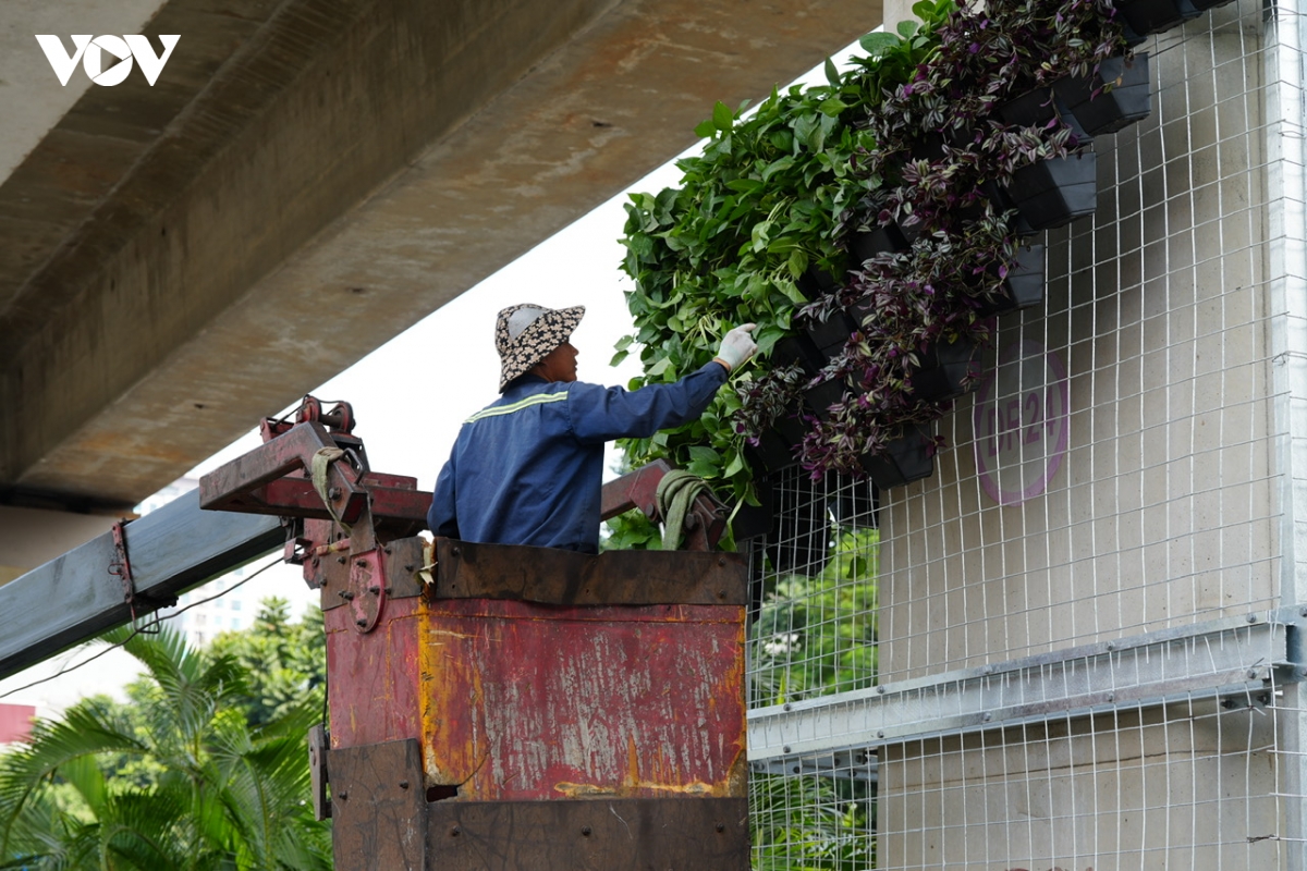 Hà Nội bắt đầu thí điểm phủ xanh trụ cầu, hầm chui, nhà chờ xe buýt