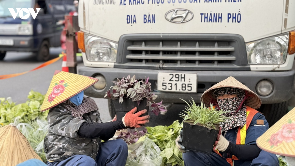 ha noi bat dau thi diem phu xanh tru cau, ham chui, nha cho xe buyt hinh anh 5