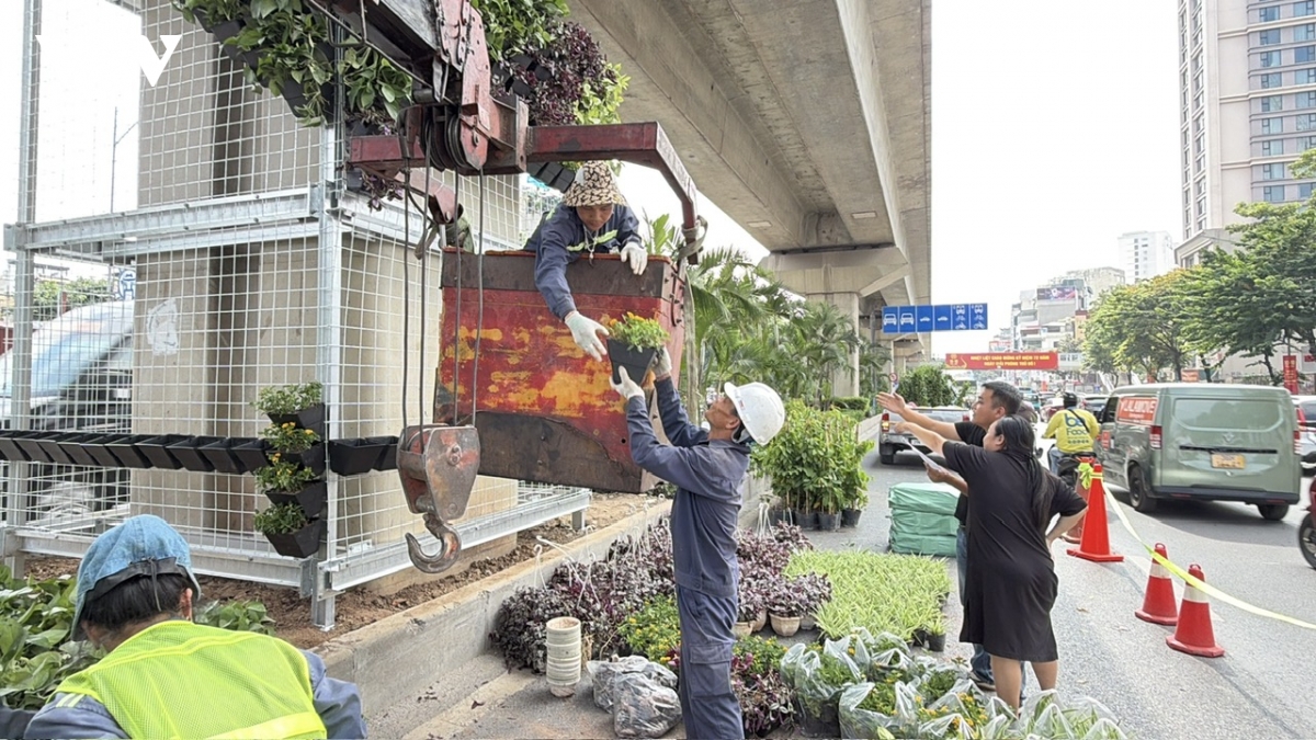 ha noi bat dau thi diem phu xanh tru cau, ham chui, nha cho xe buyt hinh anh 4