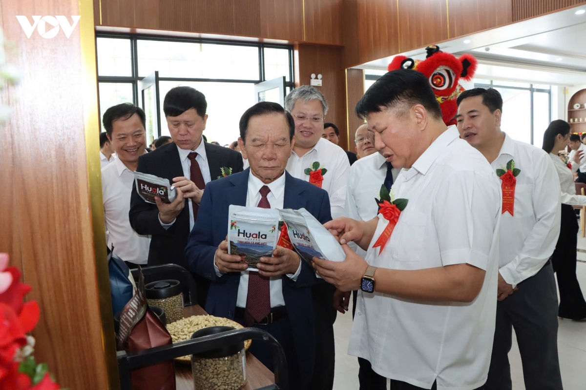 khoi dong cac du an, nha may che bien sau ca phe tai son la hinh anh 5