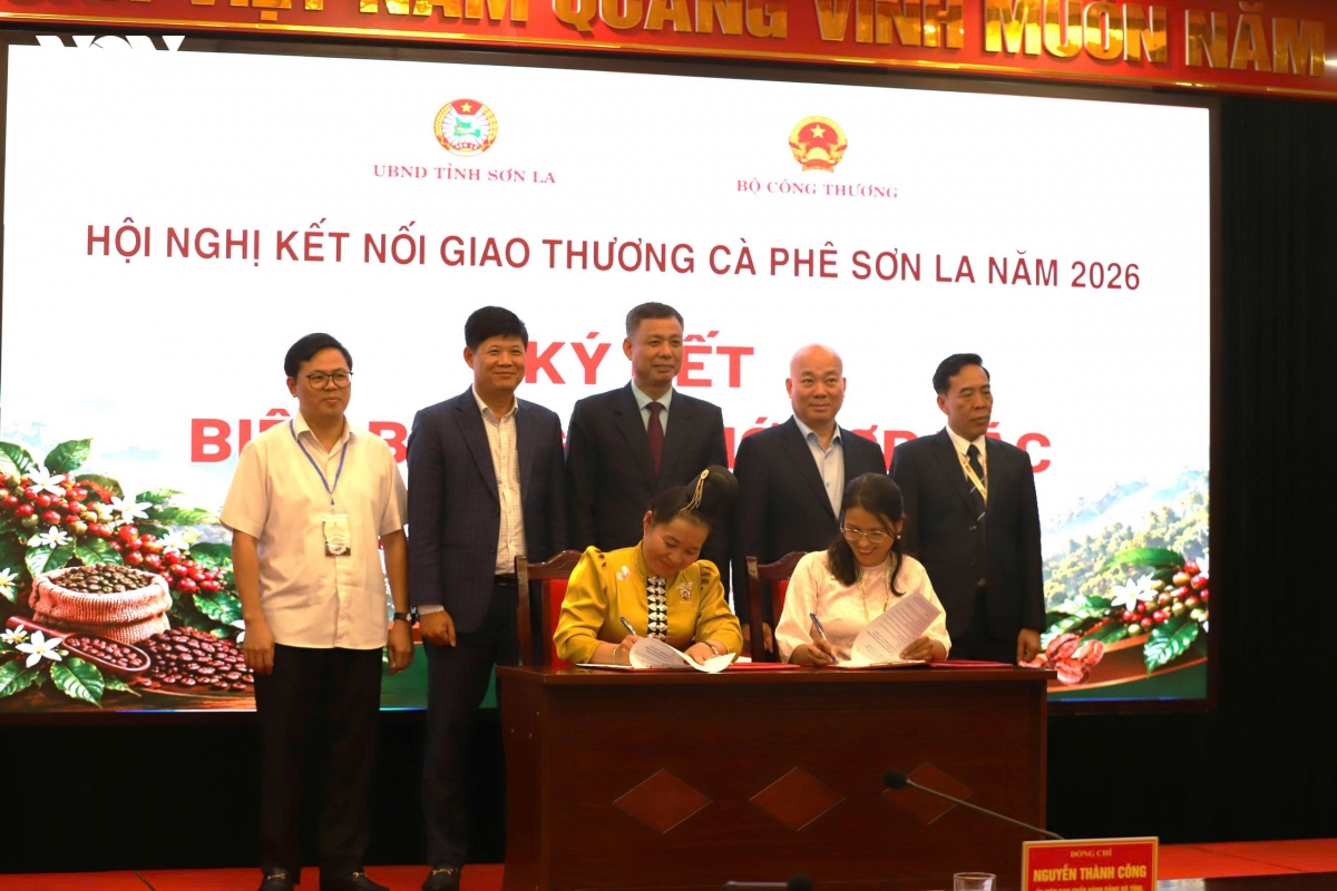tu le hoi den nhung ket noi dua thuong hieu ca phe son la vuon xa hinh anh 2