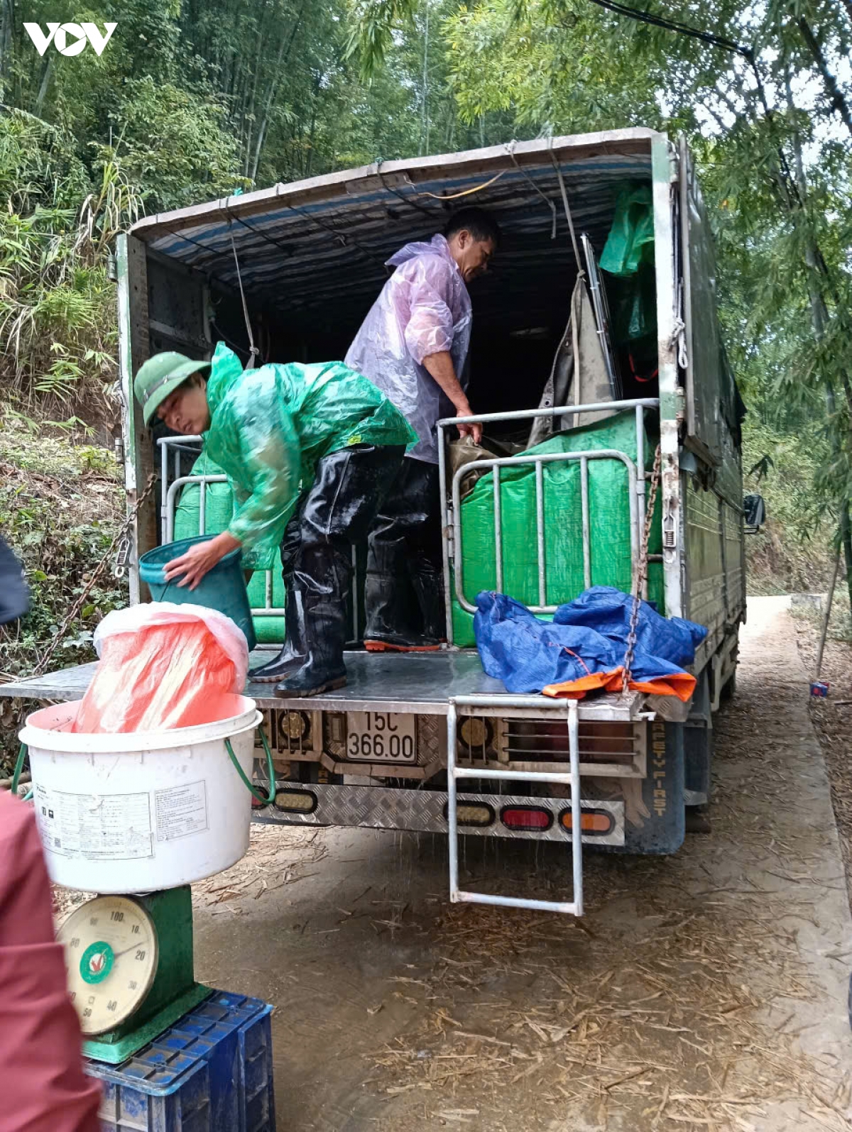 tu con giong den sinh ke ben vung cho ho ngheo o thanh hoa hinh anh 4