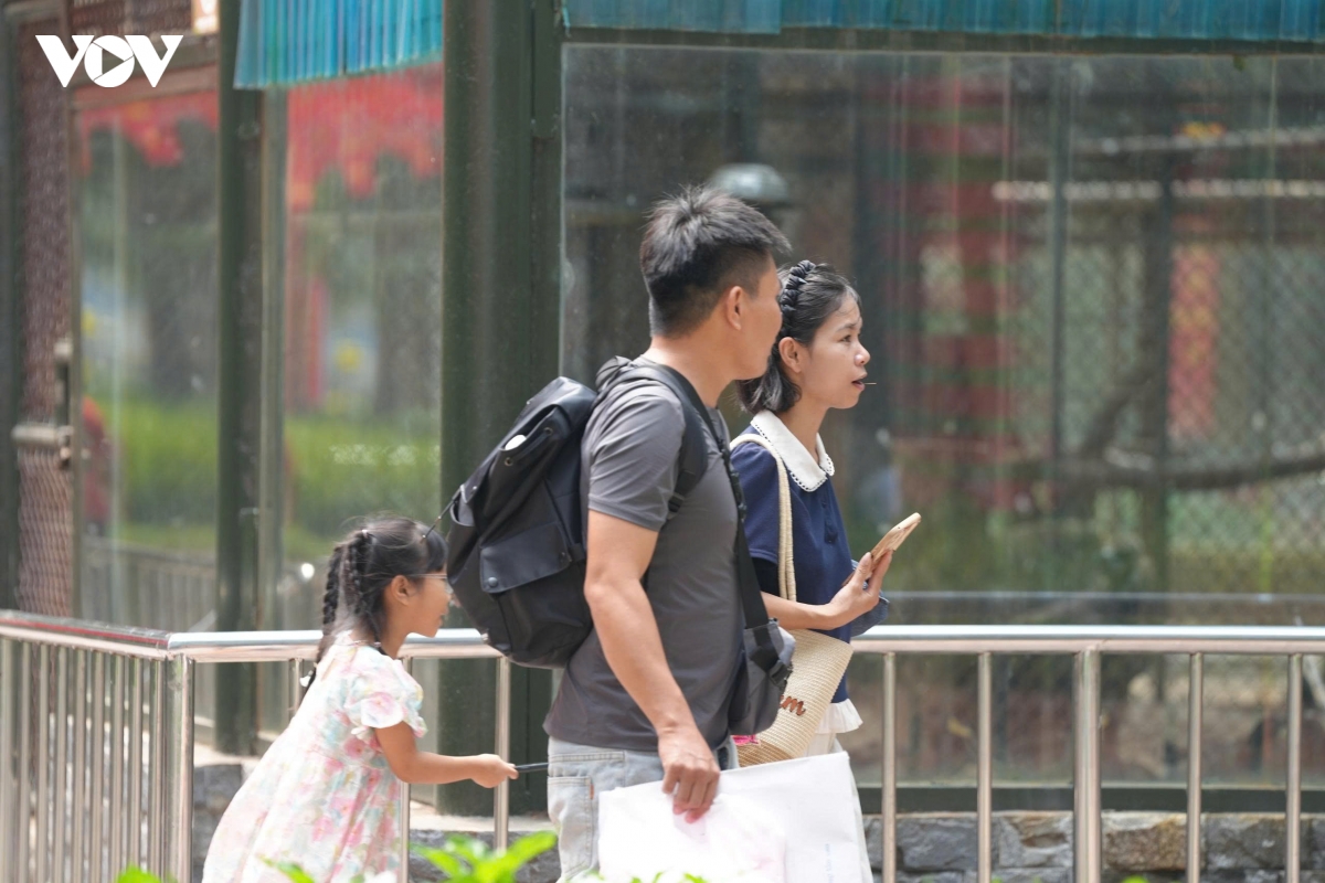 De xuat do tuong rao cong vien thu le o ha noi, khu nuoi thu chuyen sang ban hoang da hinh anh 12