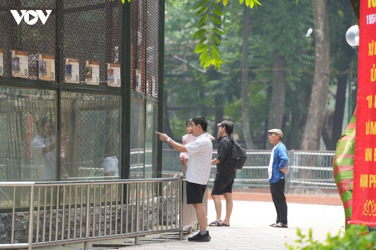 De xuat do tuong rao cong vien thu le o ha noi, khu nuoi thu chuyen sang ban hoang da hinh anh 9