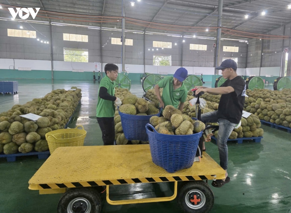 Dak lak xuat khau nong, lam, thuy san hon 2,3 ty usd trong 9 thang hinh anh 1
