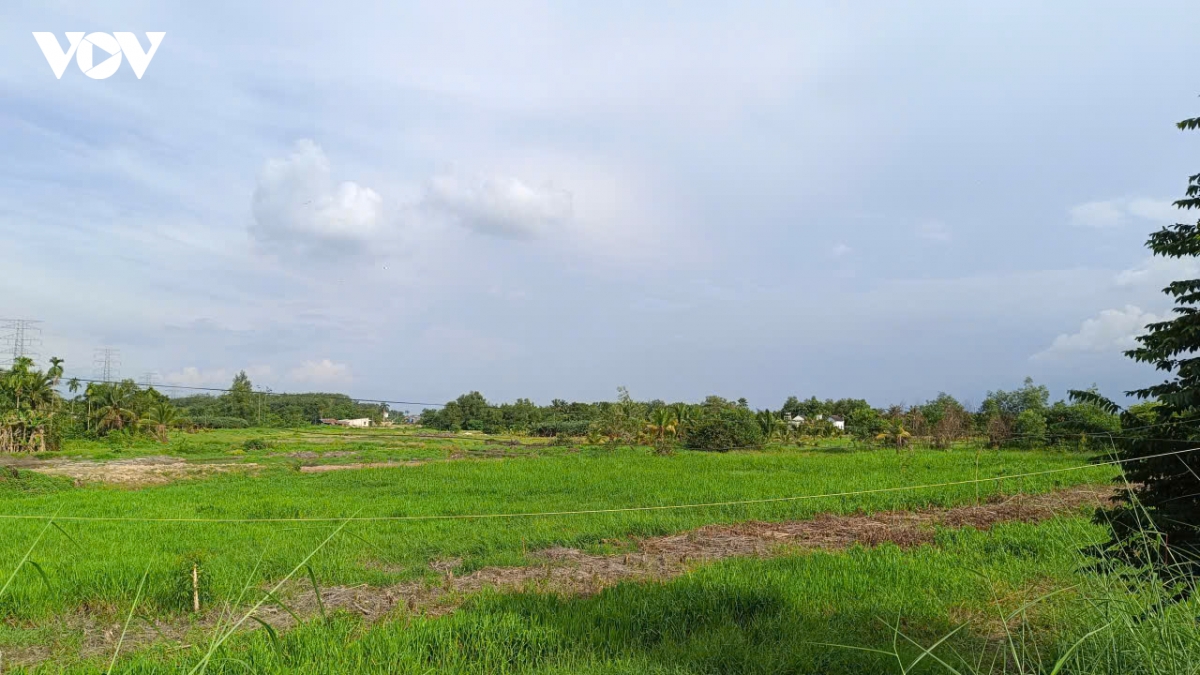 dan dong thuan giao dat nho chinh quyen noi di doi voi lam hinh anh 3