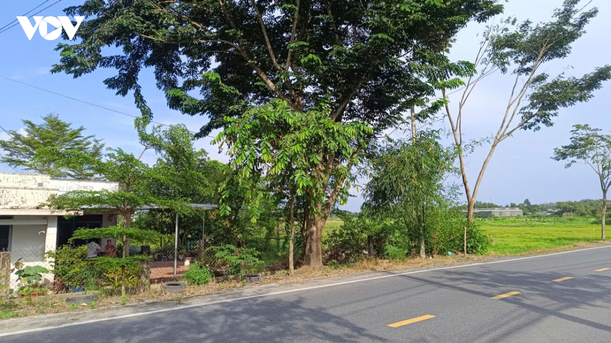 dan dong thuan giao dat nho chinh quyen noi di doi voi lam hinh anh 1