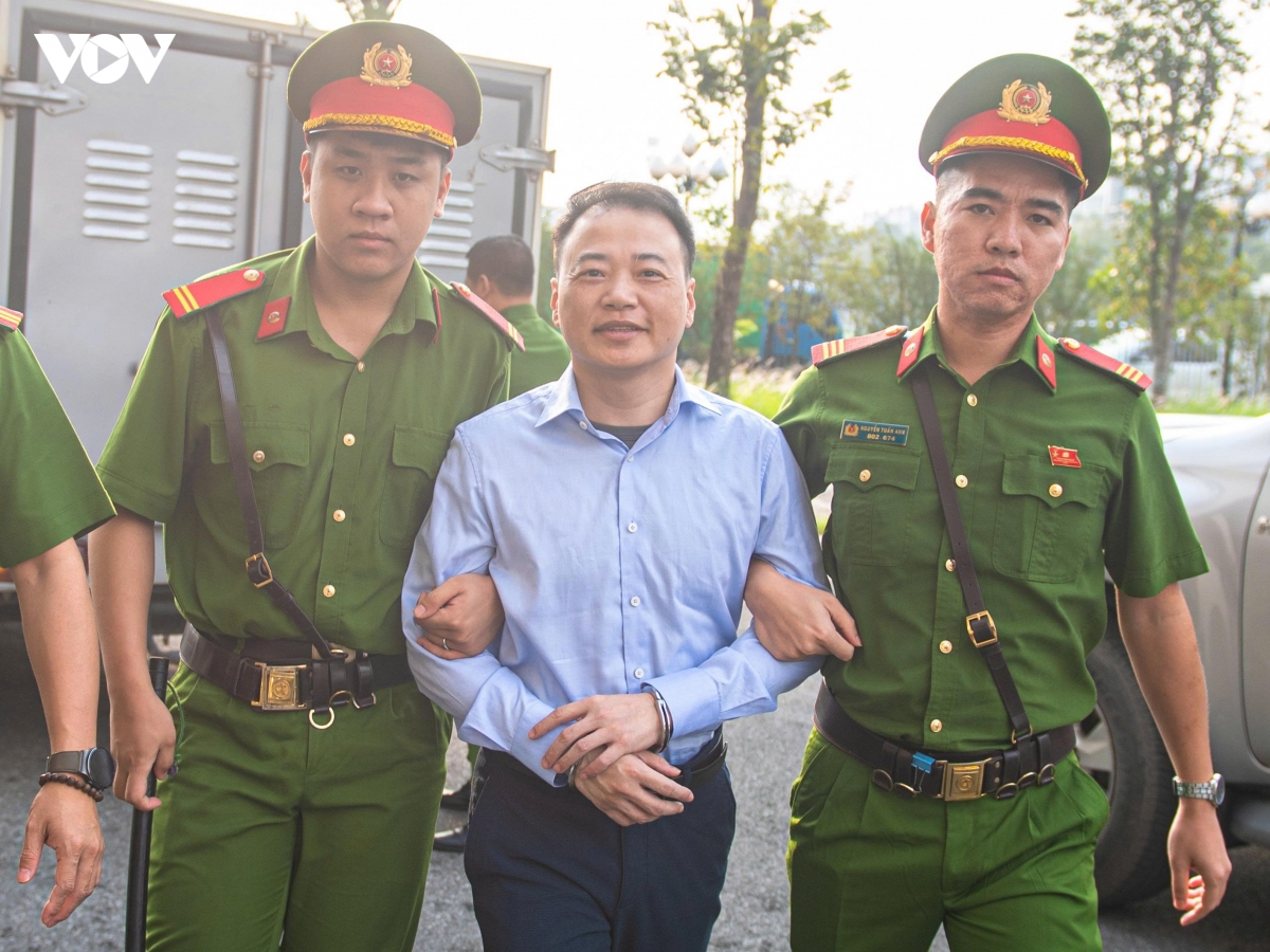 cac bi cao mr pips, shark binh hau toa hinh anh 2
