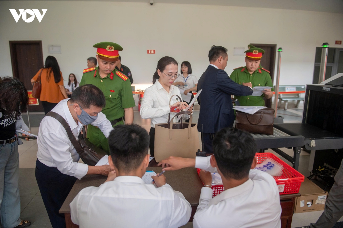cac bi cao mr pips, shark binh hau toa hinh anh 7