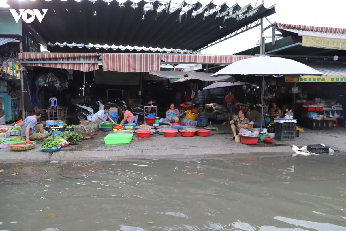 trieu cuong dat dinh, nguoi dan tp.hcm chat vat di chuyen trong bien nuoc hinh anh 10