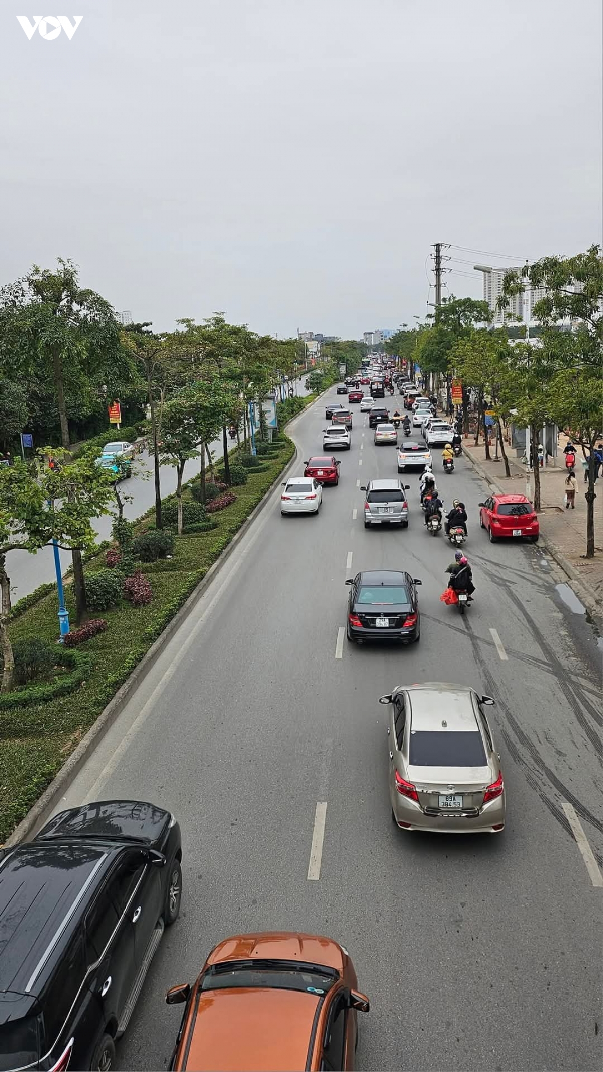 mong la khong ai bi phat hinh anh 2