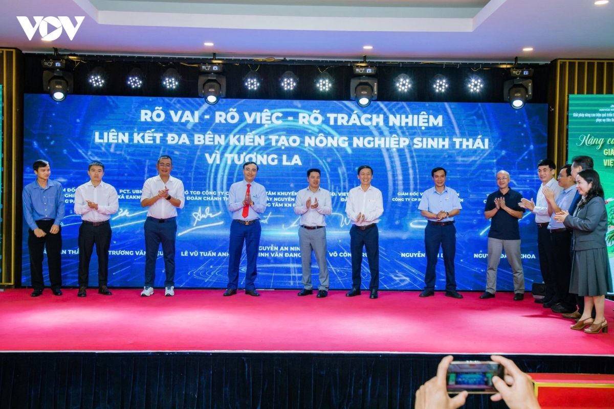Dak lak gap kho trong phat huy hieu qua ma so vung trong hinh anh 3